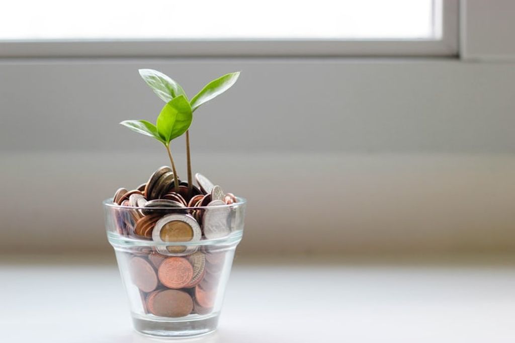 Money in potted plant